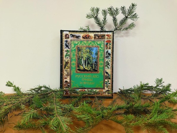 Эко-турнир «Мозаика леса»