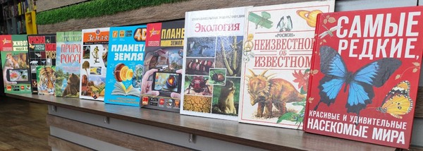 Интеллектуальная игра «Давайте вместе сбережем наш большой природы дом!»