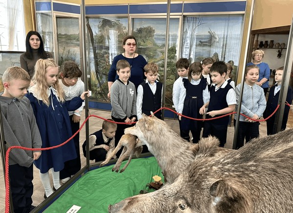 Экскурсия по залу «Природа родного края»