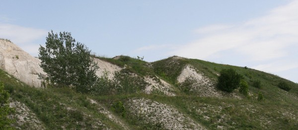 Музейный урок «Береги свою планету»