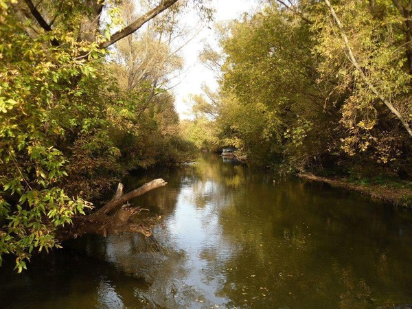 Тематическое занятие «Река Оскол и ее обитатели»