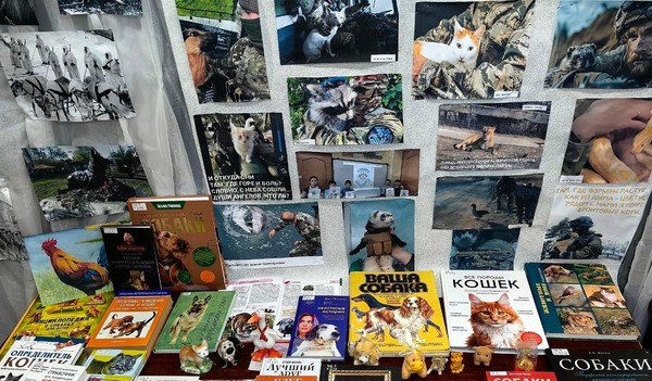 Экскурсия «Ангелы Победы»