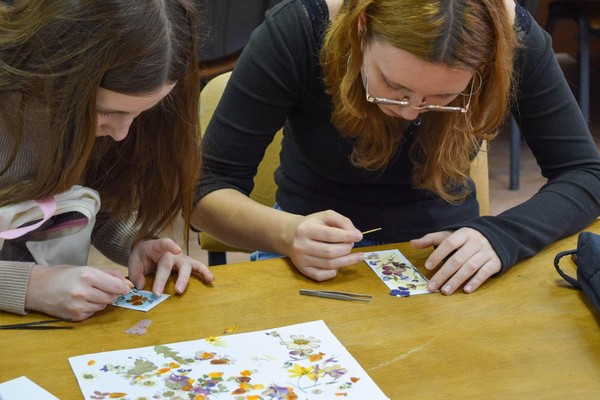 Программа «Ботанический коллаж»