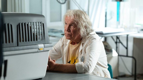 «Доктор Гаф»