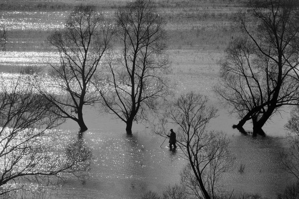 Выставка «Русское поле»