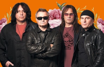 Группа «Цветы»