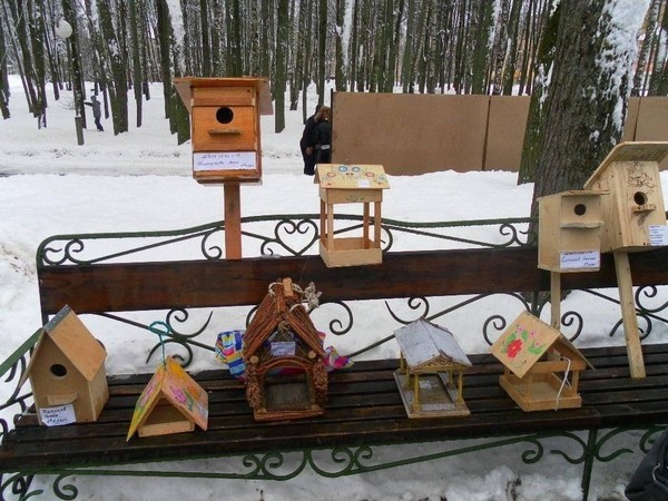 Конкурс на лучший птичий домик и птичью столовую
