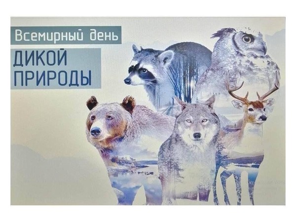 Эко-выставка и беседа «Тайны дикой природы»