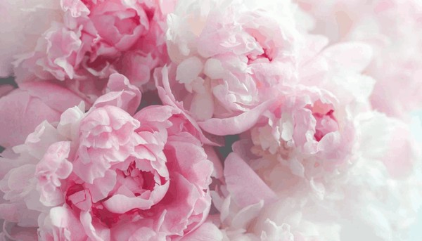 Литературно–музыкальная композиция «Прекрасный день–8 Марта»