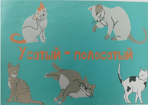 Познавательная программа «Усатый полосатый»