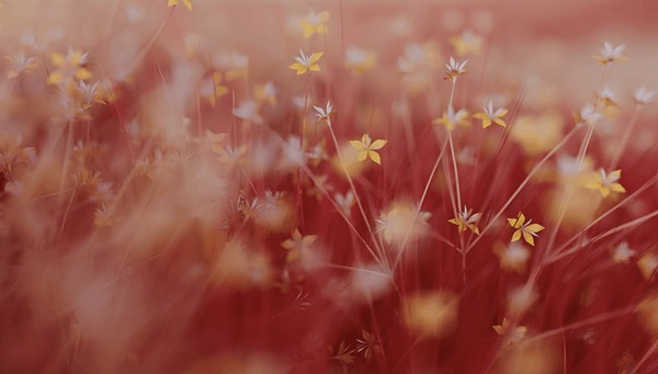 Концерт «Музыка весны»