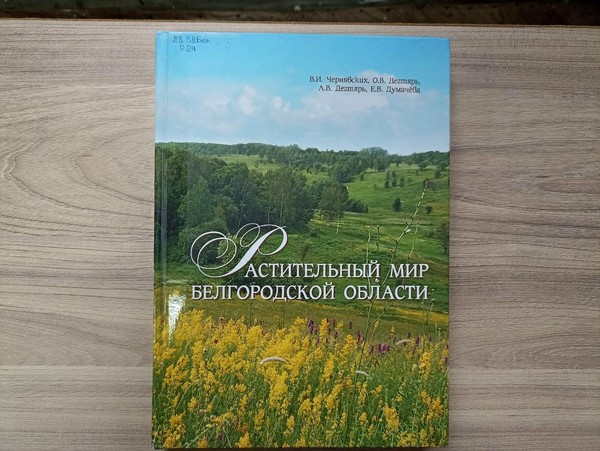 Краеведческая викторина «Край мой – капелька России»