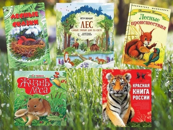 Эко-игра «Из жизни зеленого мира»