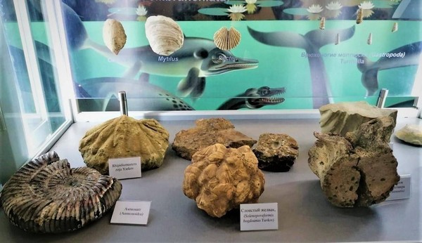 Тематическая экскурсия «Океан Тетис: мифы и были»