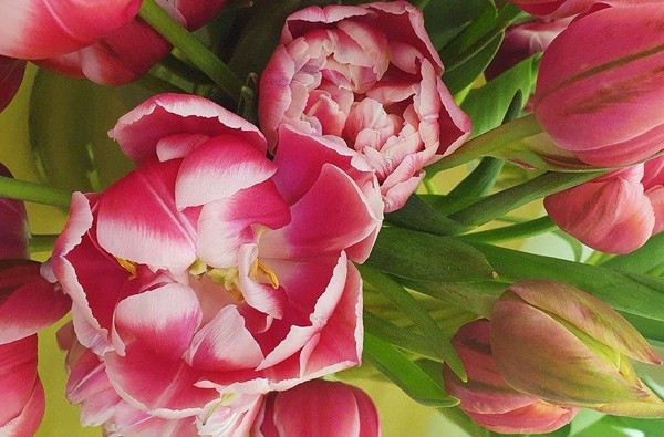 Литературно-музыкальная программа «Волшебная весна любви»