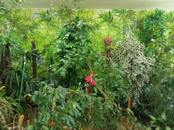 Мероприятие, посвященное Всемирному дню дикой природы «Сохранить природу сохранить жизнь»