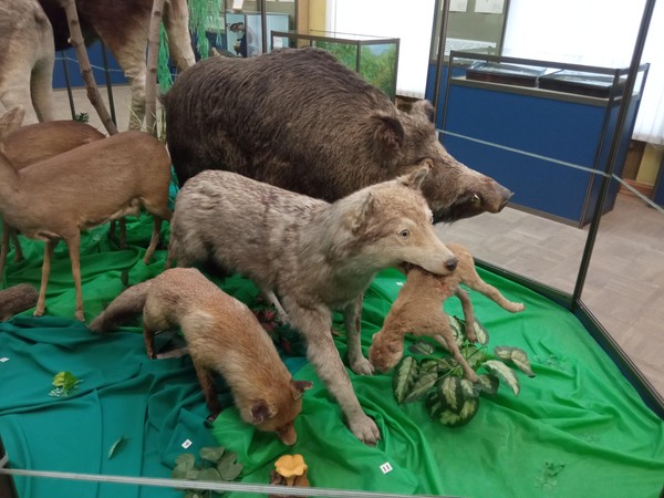 Экскурсия «Природа края»