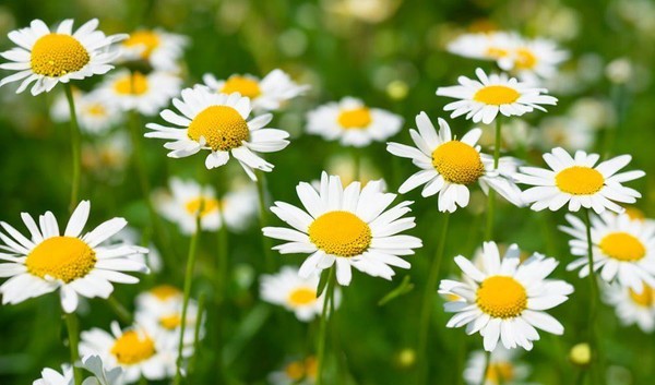 Беседа «Я выбираю жизнь»