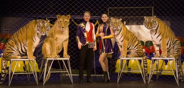 Цирк Династии Довгалюк