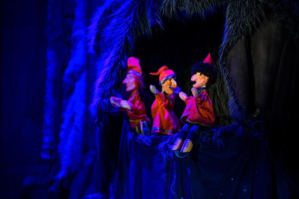 Программа «Свободное время. ТРИПетрушки»