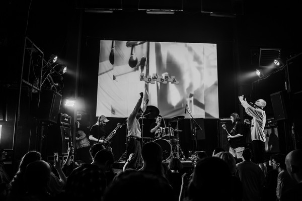 Фузз и Дружба