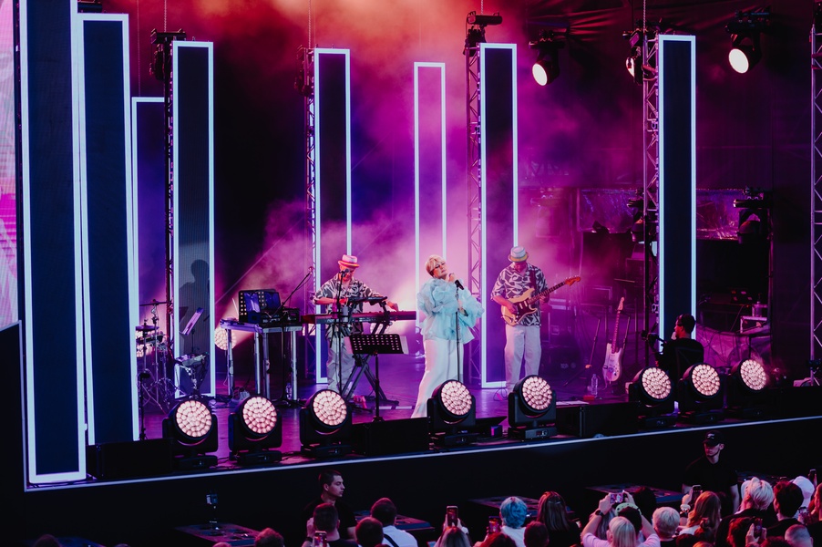 Концерт Евы Польны «За звездой»