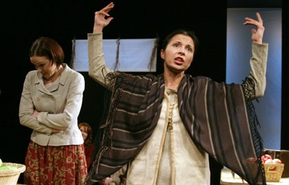 Пролетный гусь