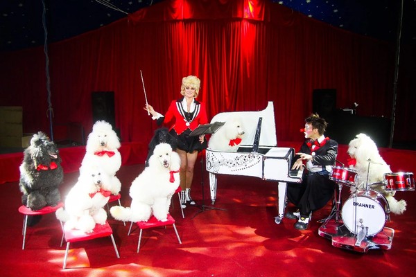 Цирк «Русские мишки»