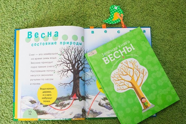 Занятие «Тайна первого цветка»