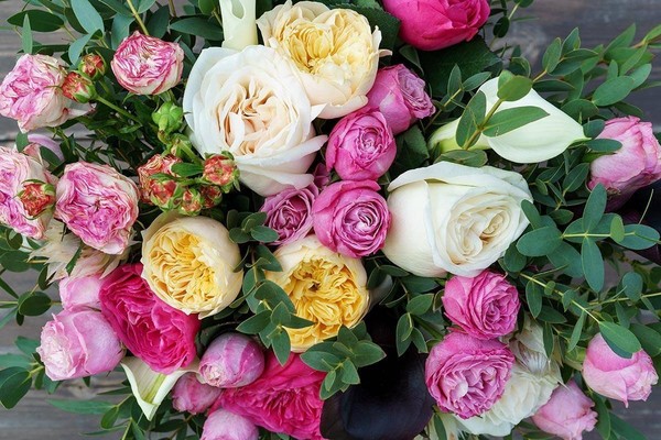 «Мир роз и пионов»