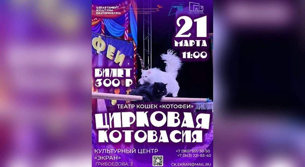 Спектакль «Цирковая котовасия»