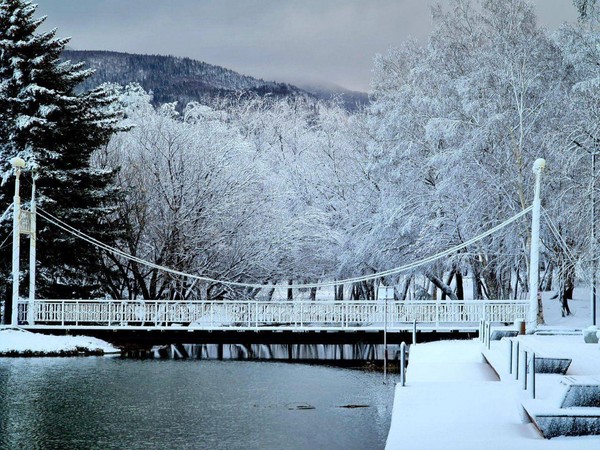 Экскурсия «Мой парк»