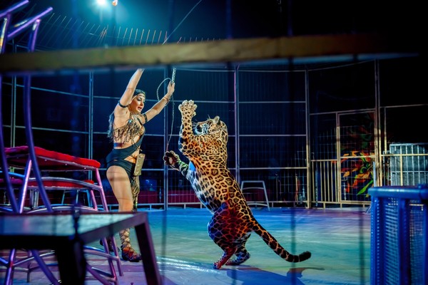 Цирк Моретти