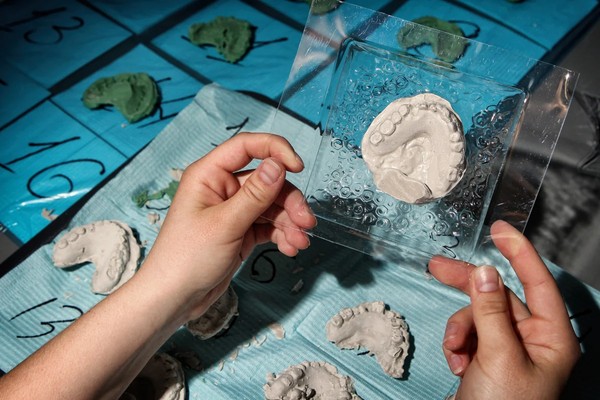 Медицинские программы от Sciencely