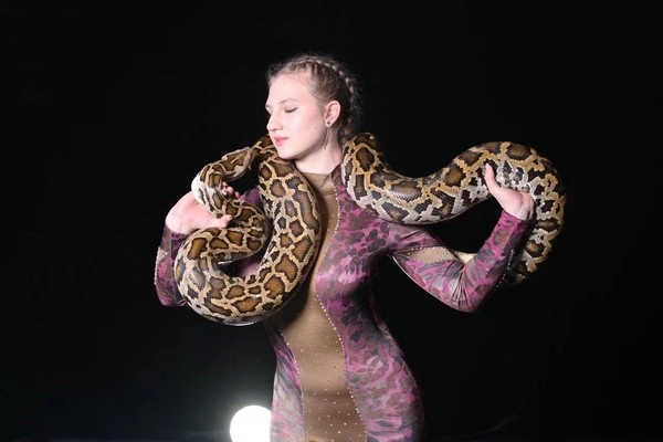 Цирковое шоу «Созвездие»