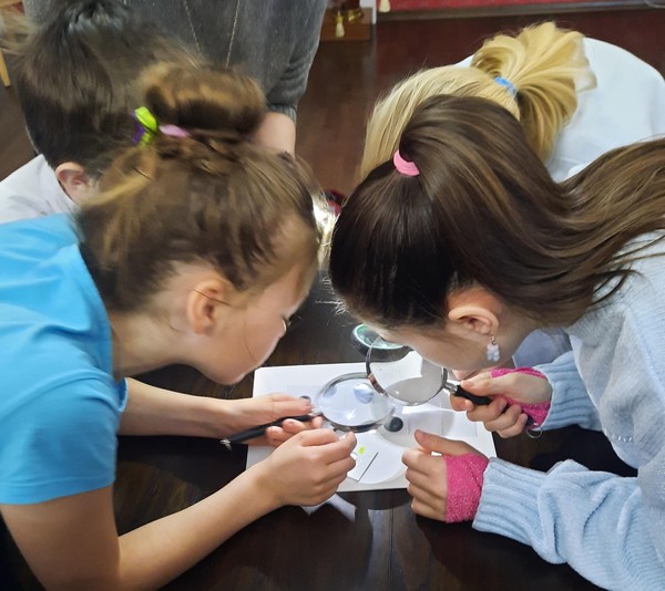 «Умушки». Занятие «Музееведение»