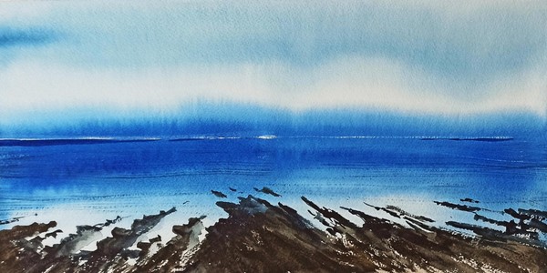 Программа «Северный пейзаж»