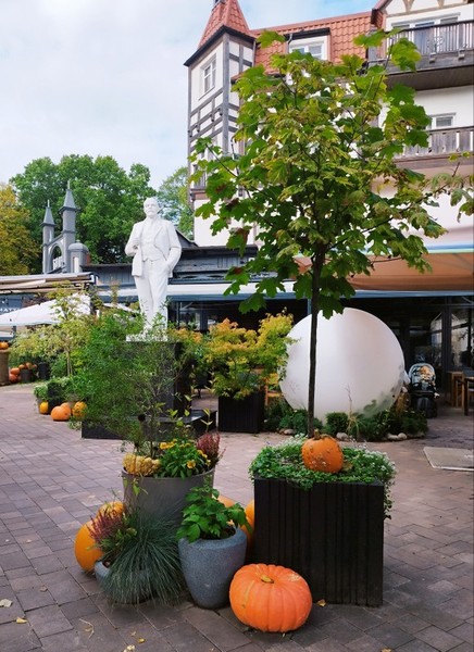 Прогулка по Куршской косе и Зеленоградску — из Калининграда