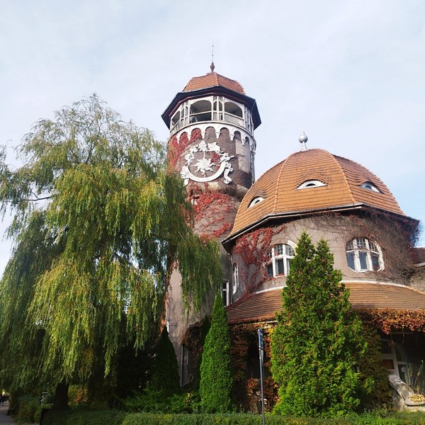 Светлогорск, Зеленоградск и сыроварня «Шаакен Дорф» — из Калининграда