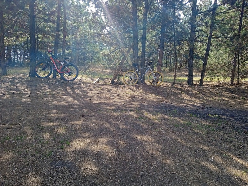 Вело прогулка!