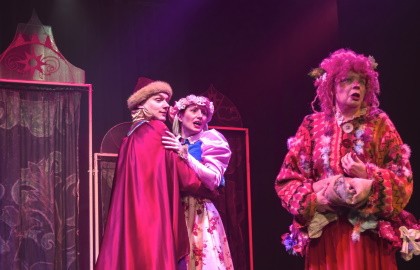 Финист ясный сокол