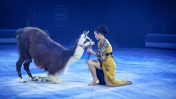 Дикий карнавал