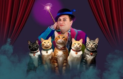 Театра кошек и Владимир Куклачев. Волшебные кошки
