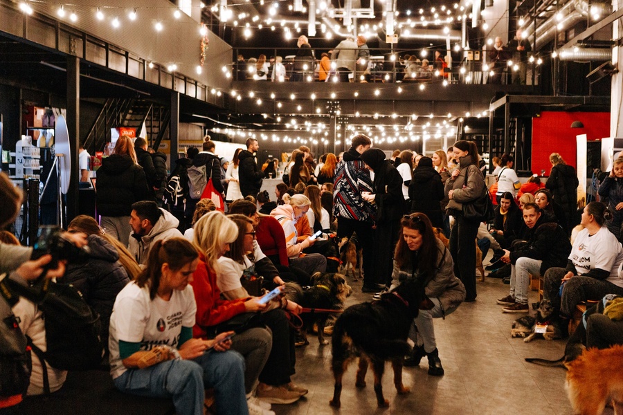 Фестиваль «Собаки, которые любят… и котики!»