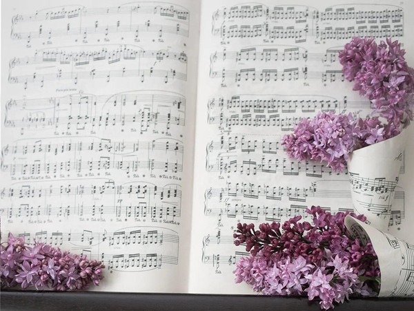 Прелестный звук виолончели