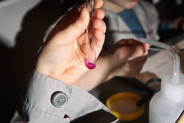 Научная программа «Следствие ведут учёные»