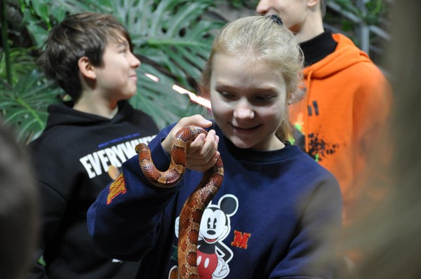 Авторская экскурсия с интерактивом «Бестиарий. Фантастические твари в культуре народов»