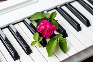 Весеннее созвучие