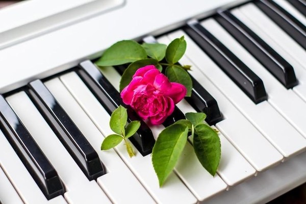 Весеннее созвучие