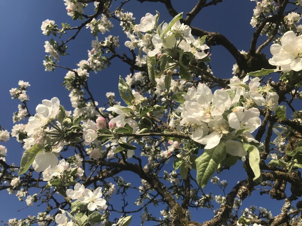 Выставка «Русский календарь»